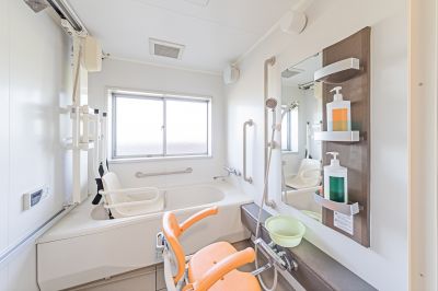 Senior Bathroom Safety detail