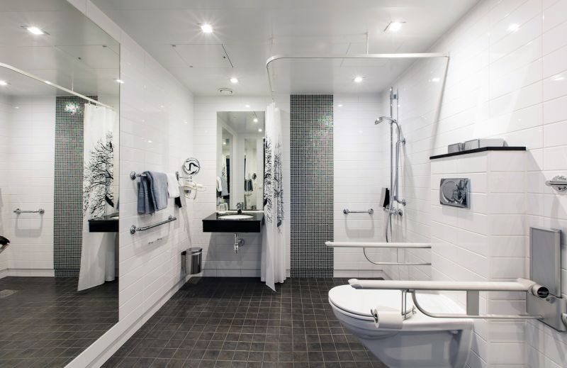 Senior Bathroom Safety detail